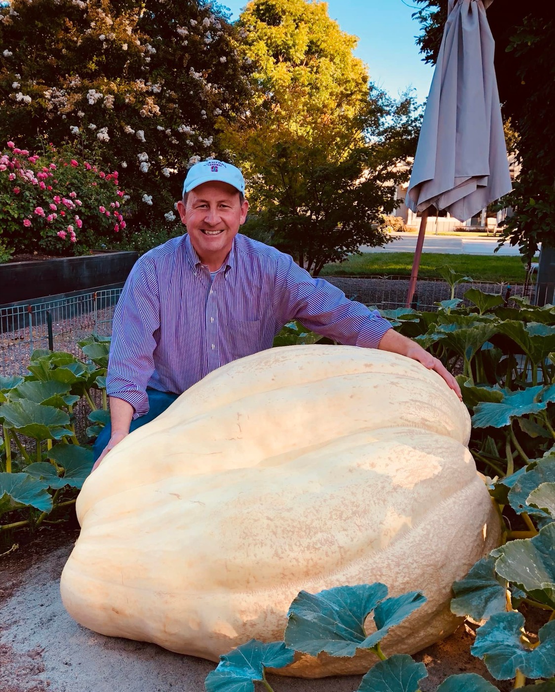 Tom at the pumpkin weigh-off